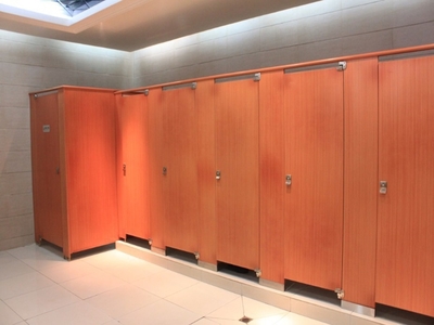 東莞市工廠廁所隔斷和力成支持上門量尺美觀大方