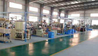 陸川縣華鑫電子廠電子終端產品項目入園投產，助力計算機技術開發產業新突破